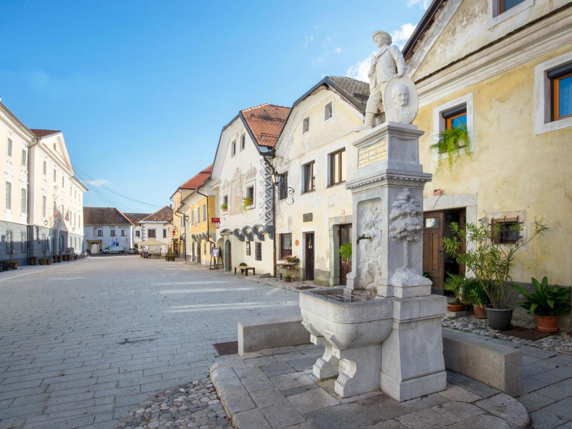 Art House Radovljica Apartment Bagian luar foto